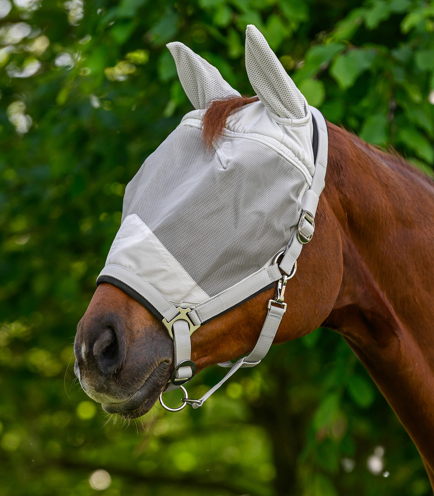 PREMIUM Fly mask with Halter