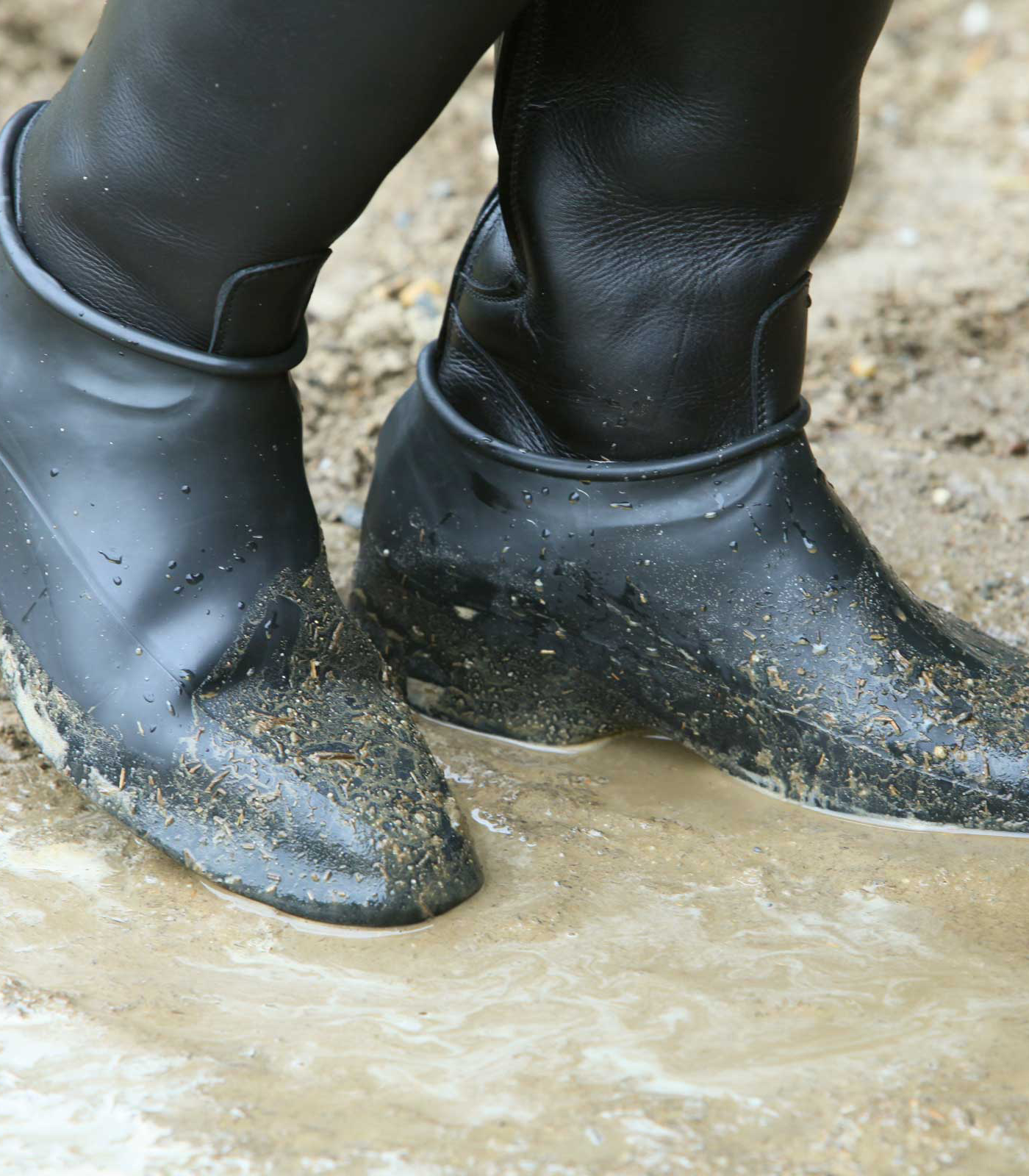 Galoshes black