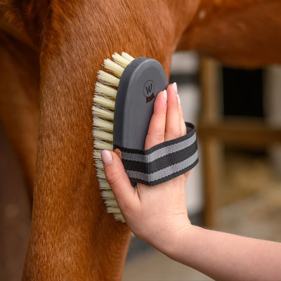 Image alternate text