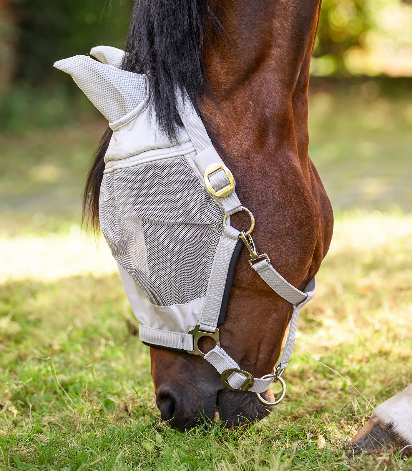 PREMIUM Fly mask with Halter
