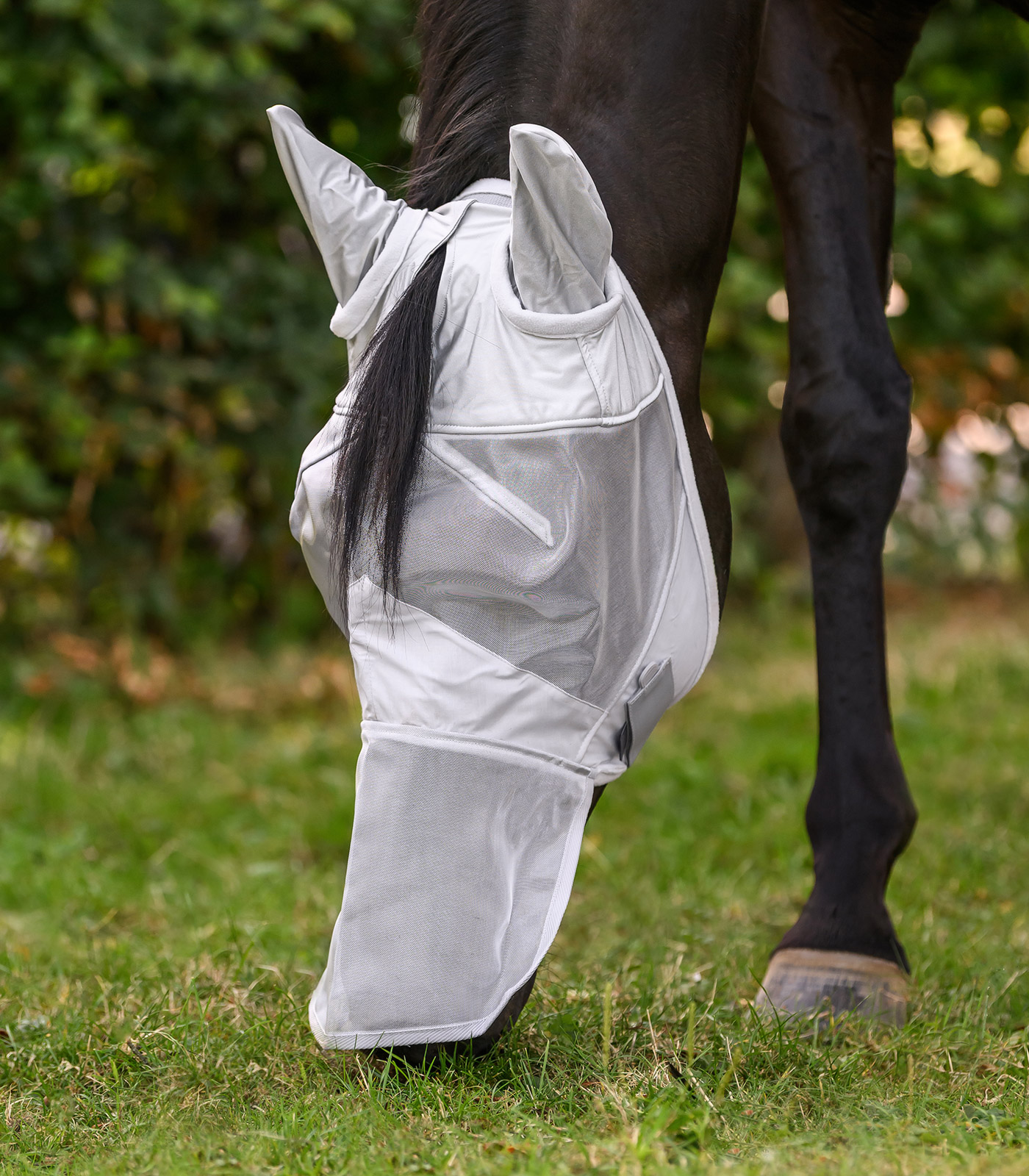 PREMIUM Fly mask with ear and nose protection PREMIUM Fly mask with ear and nose protection