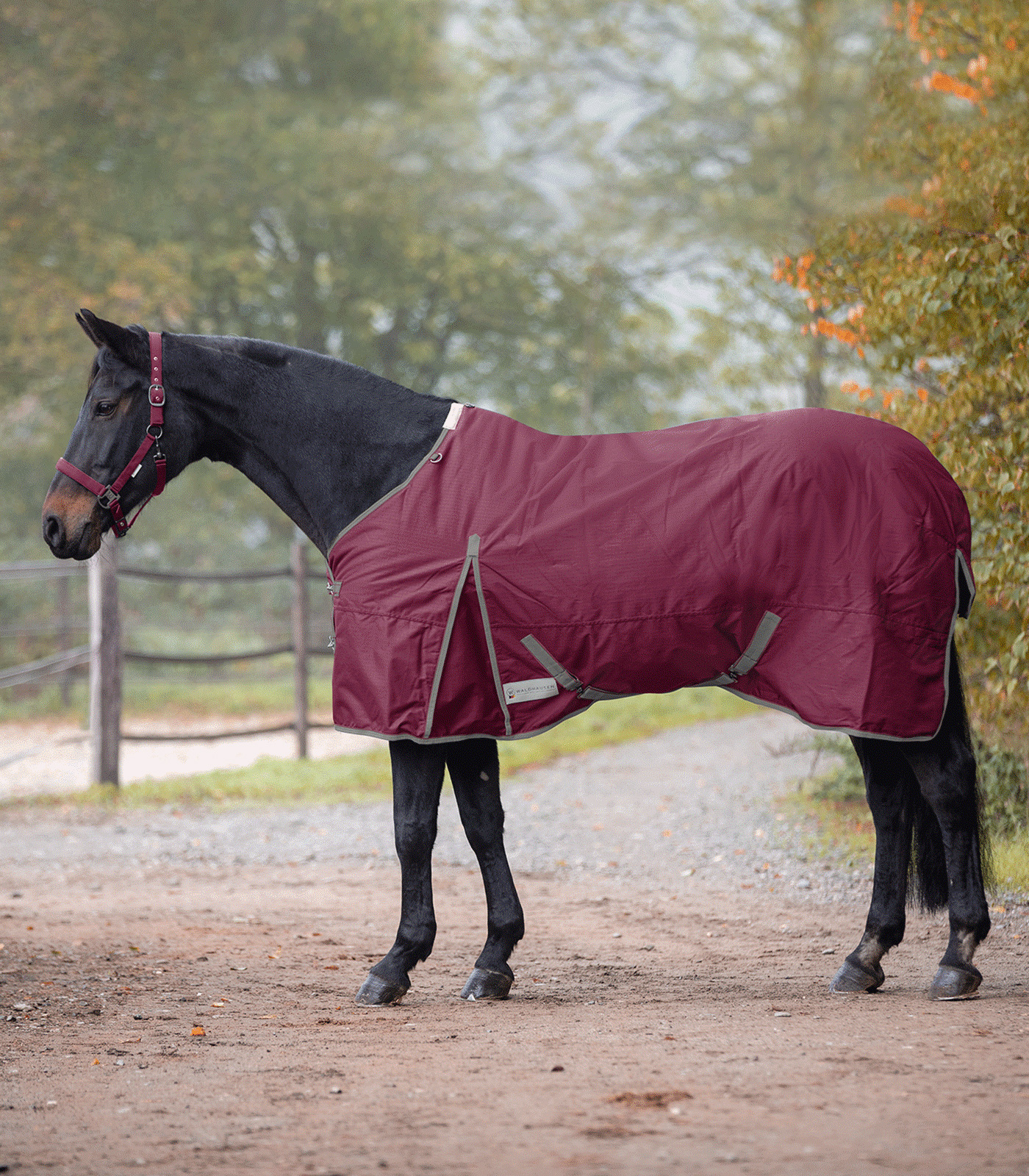 ECONOMIC Turnout Rug, lightweight burgundyred