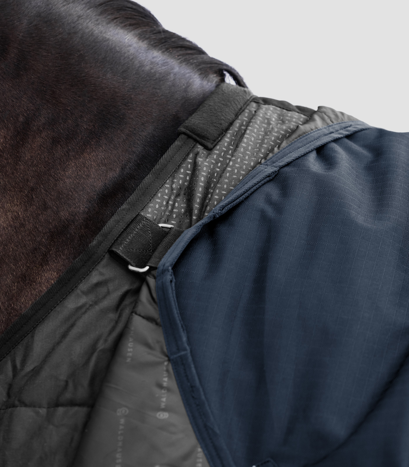 SCANDIC Turnout Rug, 200 g