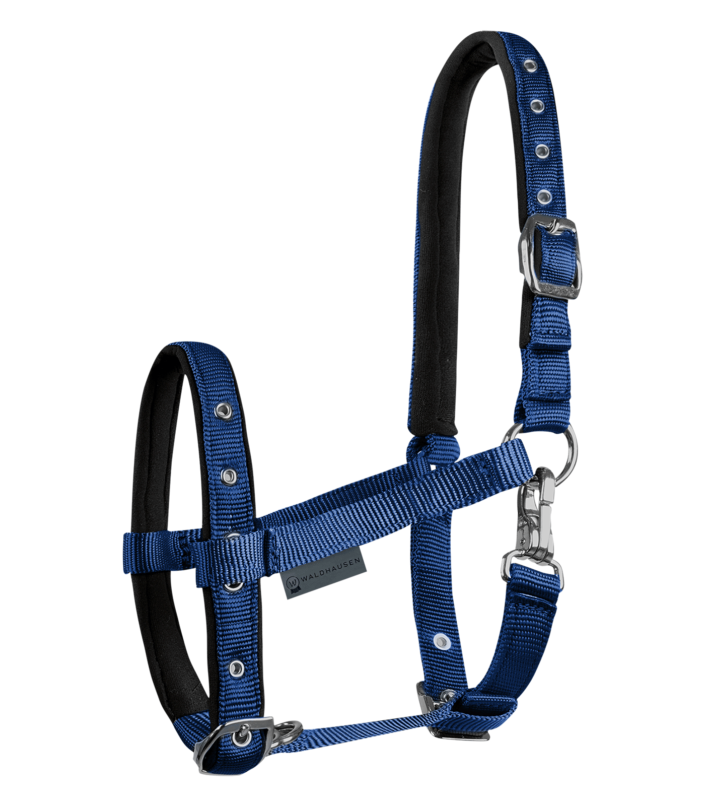 Cabezada para potro Comfort azul oscuro
