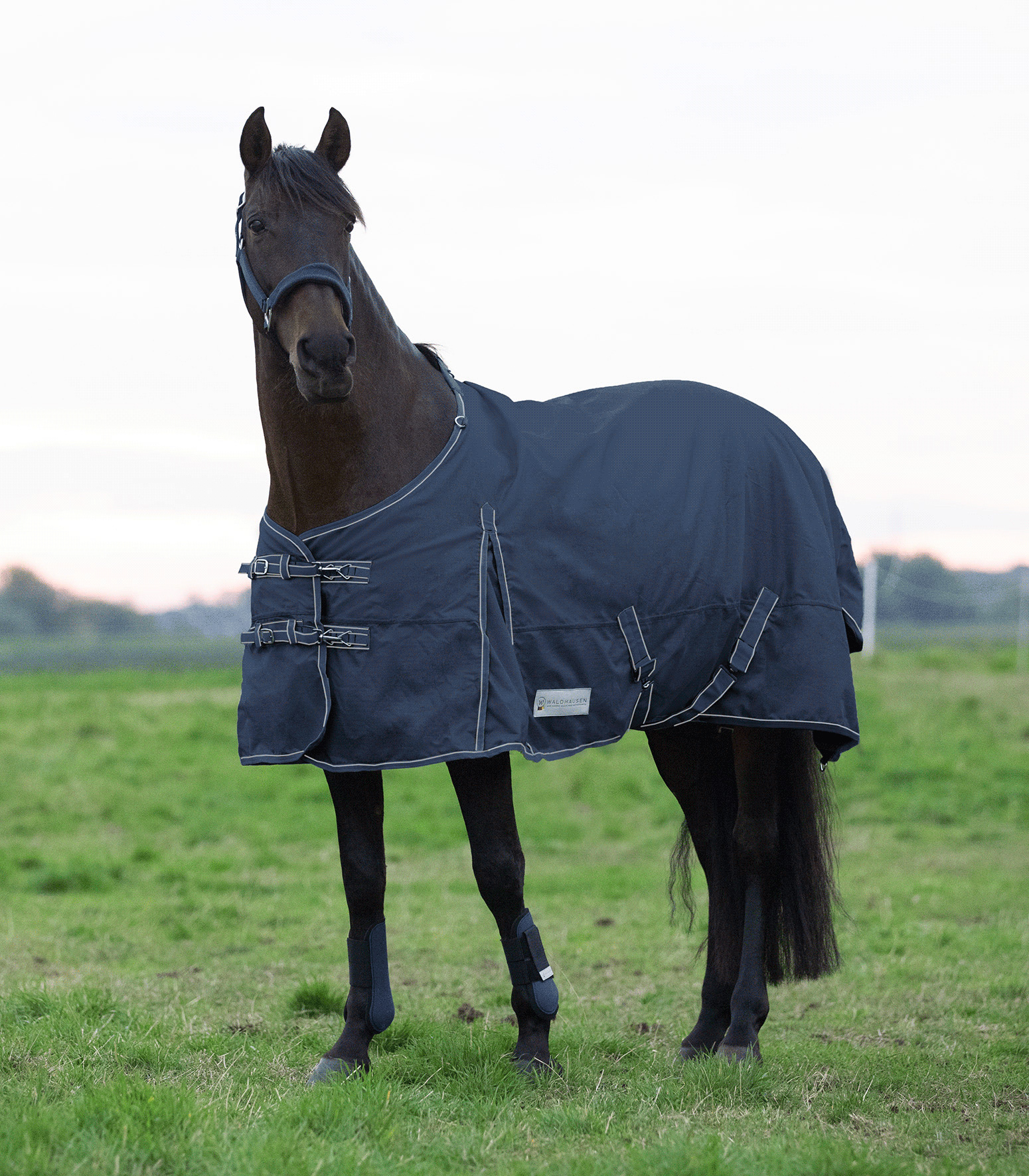 ECONOMIC Turnout Rug, 100 g night blue