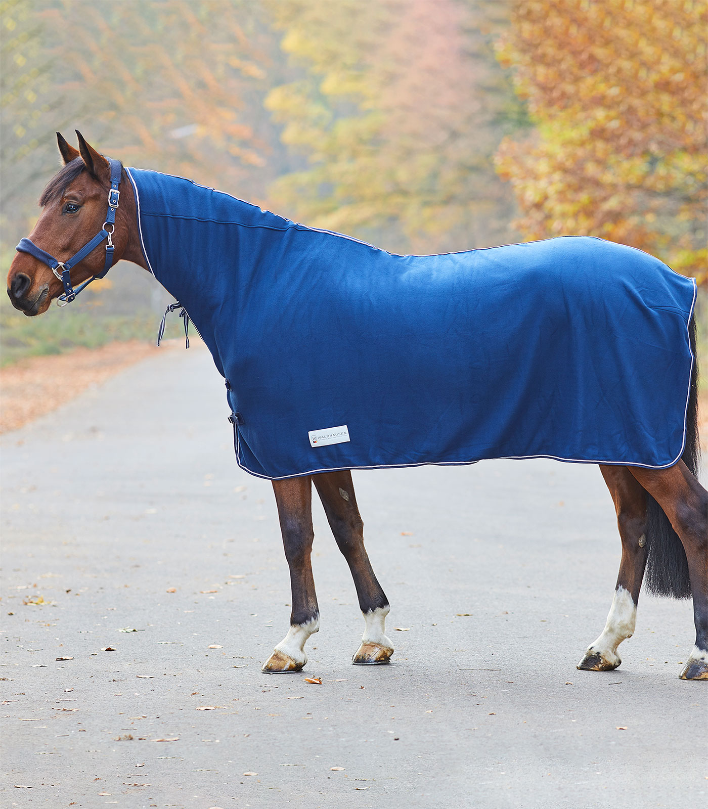 ECONOMIC Fleece Rug with Neck navy