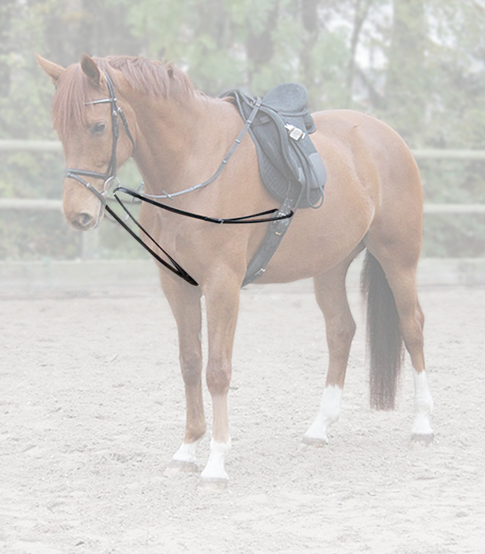 Waldhausen X-Line Draw Reins, one-piece