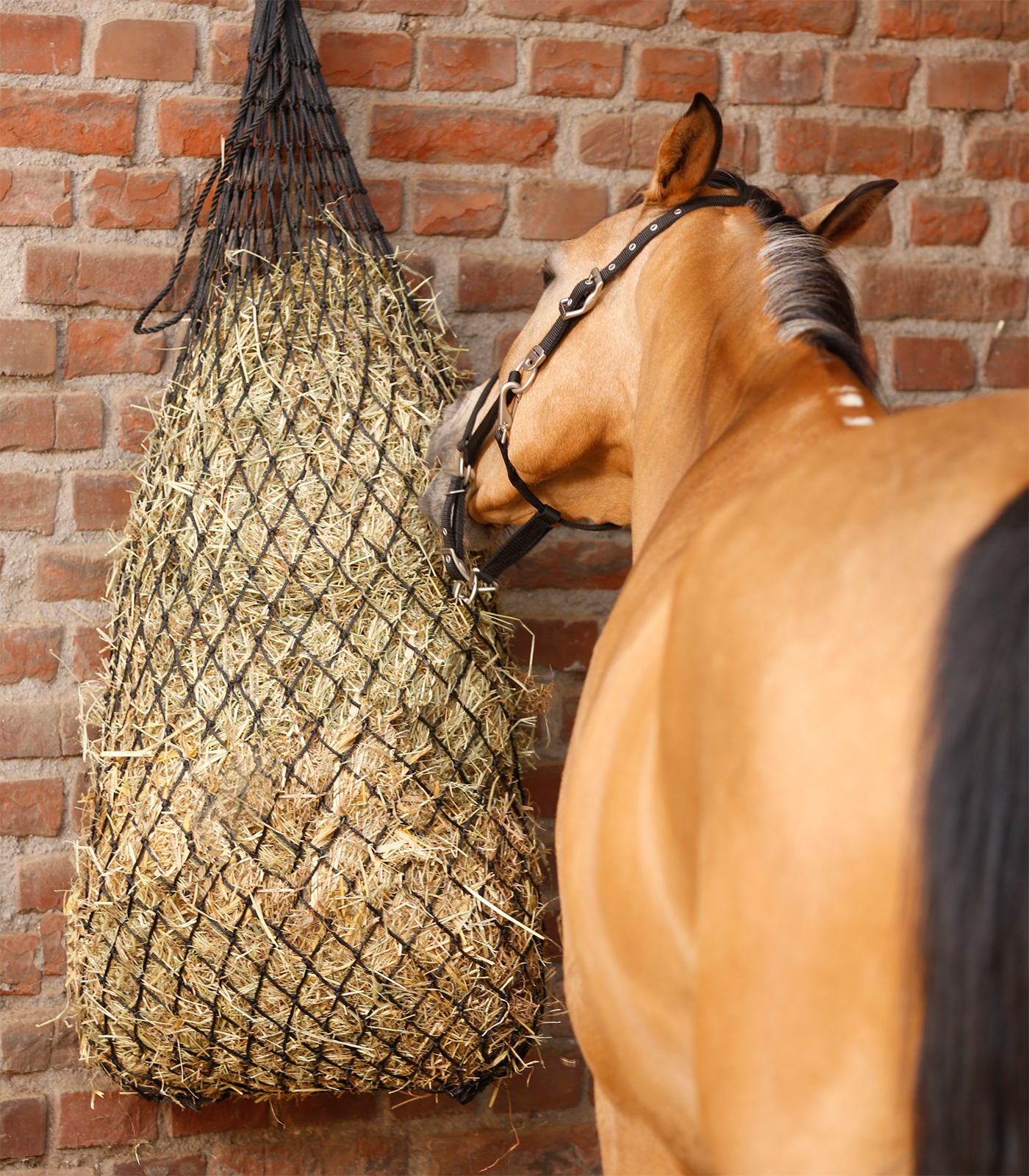 Large hay net