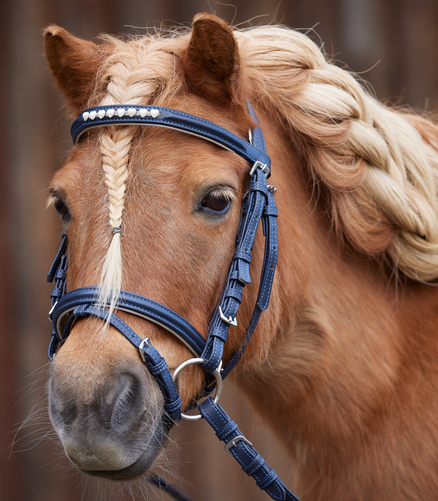 Lucky Heart Snaffle Bridle