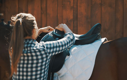 Passt der Sattel? Die Checkliste für eine optimale Passform