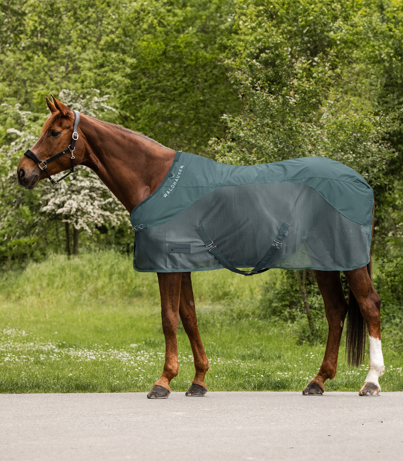 COMFORT rain fly sheet pine green