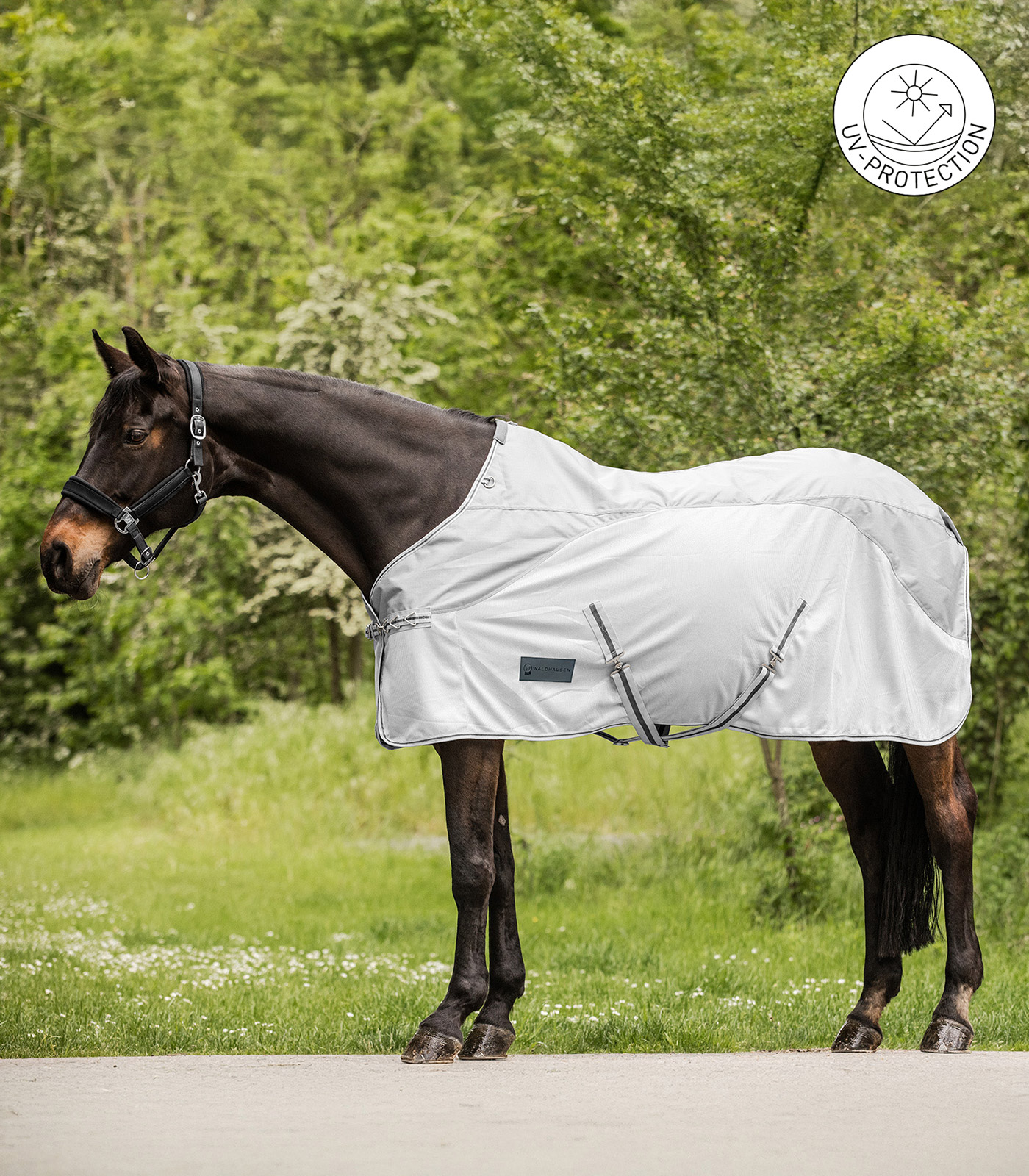 PROTECT Manta chubasquero con mosquero gris plata/gris