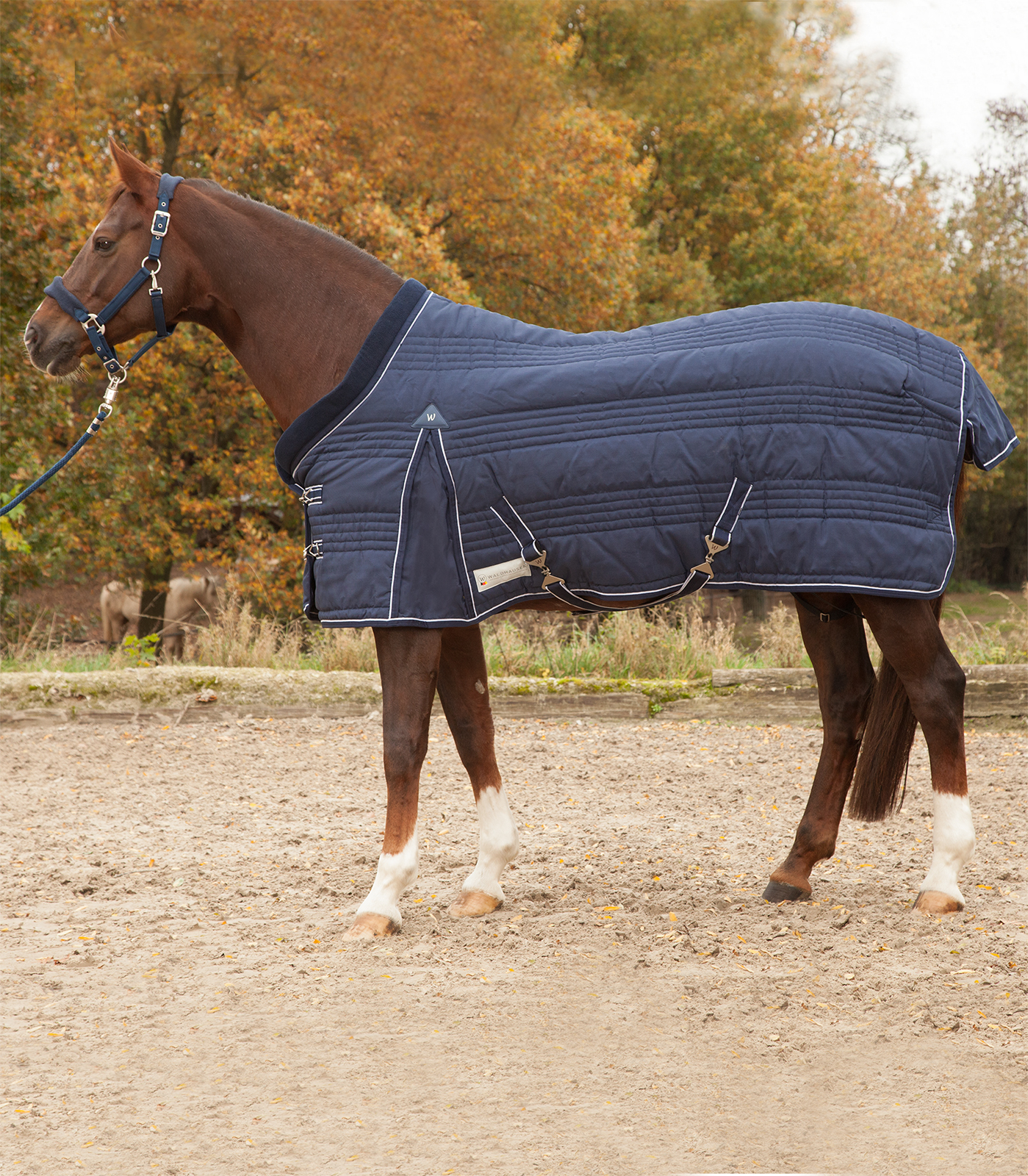 COMFORT Stable Rug Line, 200 g night blue