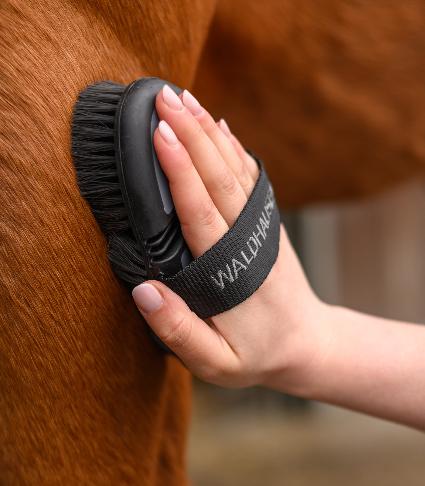 Flex horse grooming brush, soft synthetic bristles