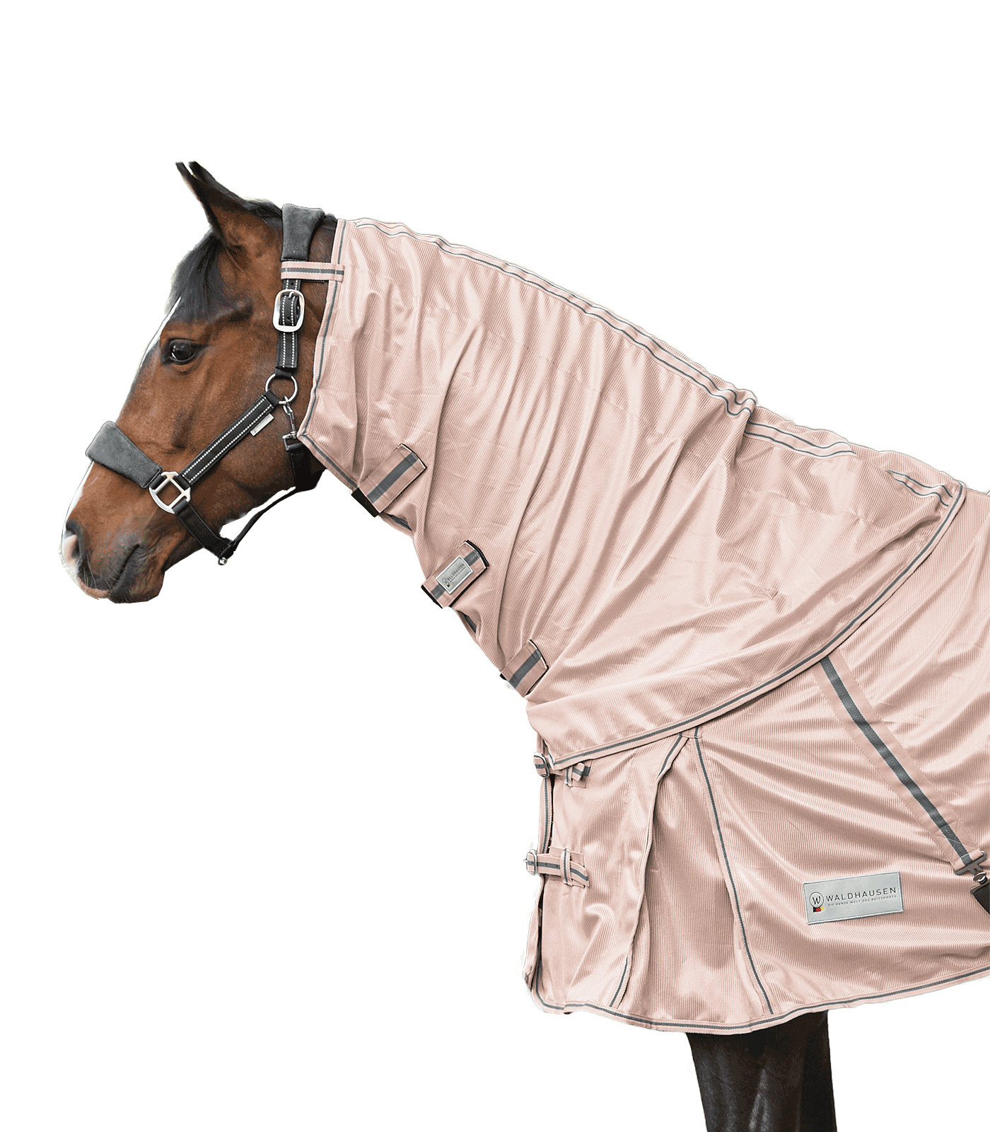 PROTECT fly rug neck light pink