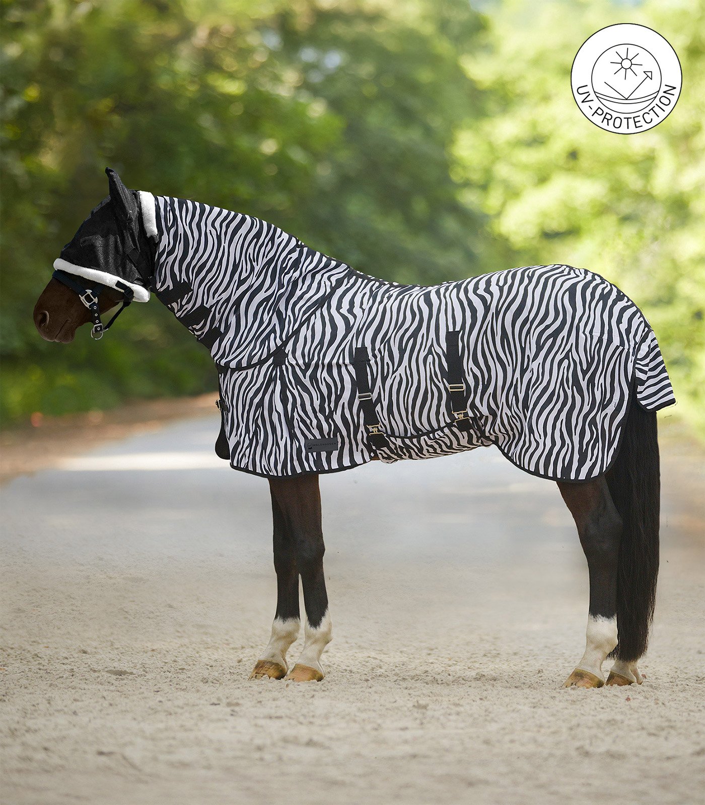 Zebra Fly Rug black/white