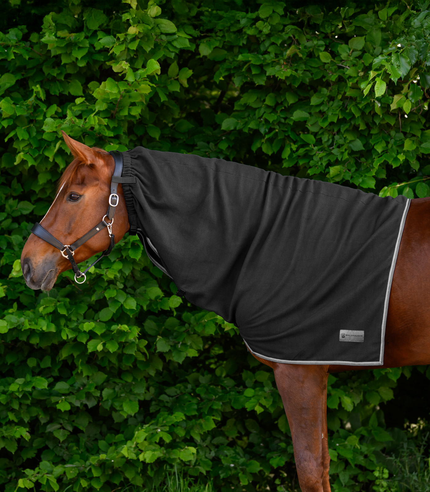 ECONOMIC Fleece-Halsdecke schwarz