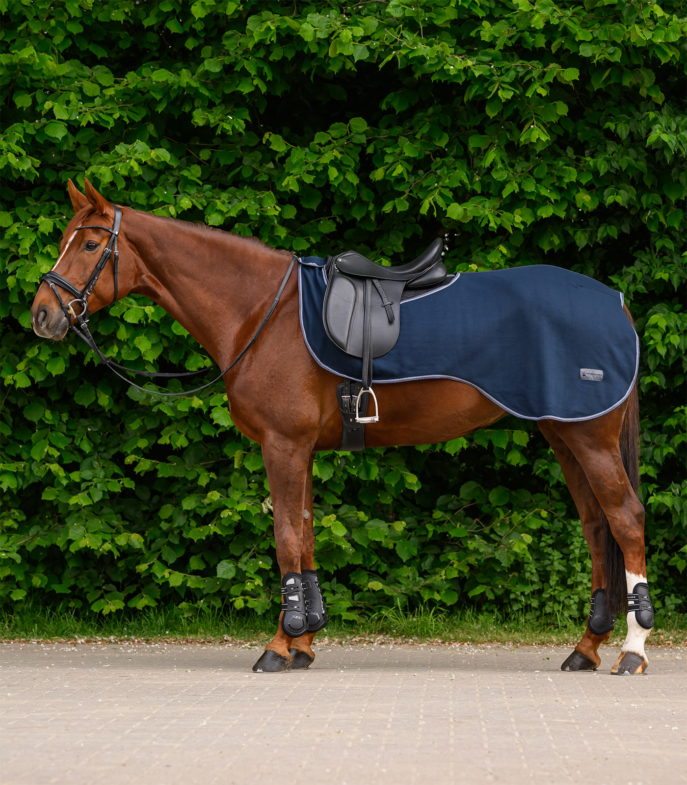 ECONOMIC Fleece-Ausreitdecke nachtblau