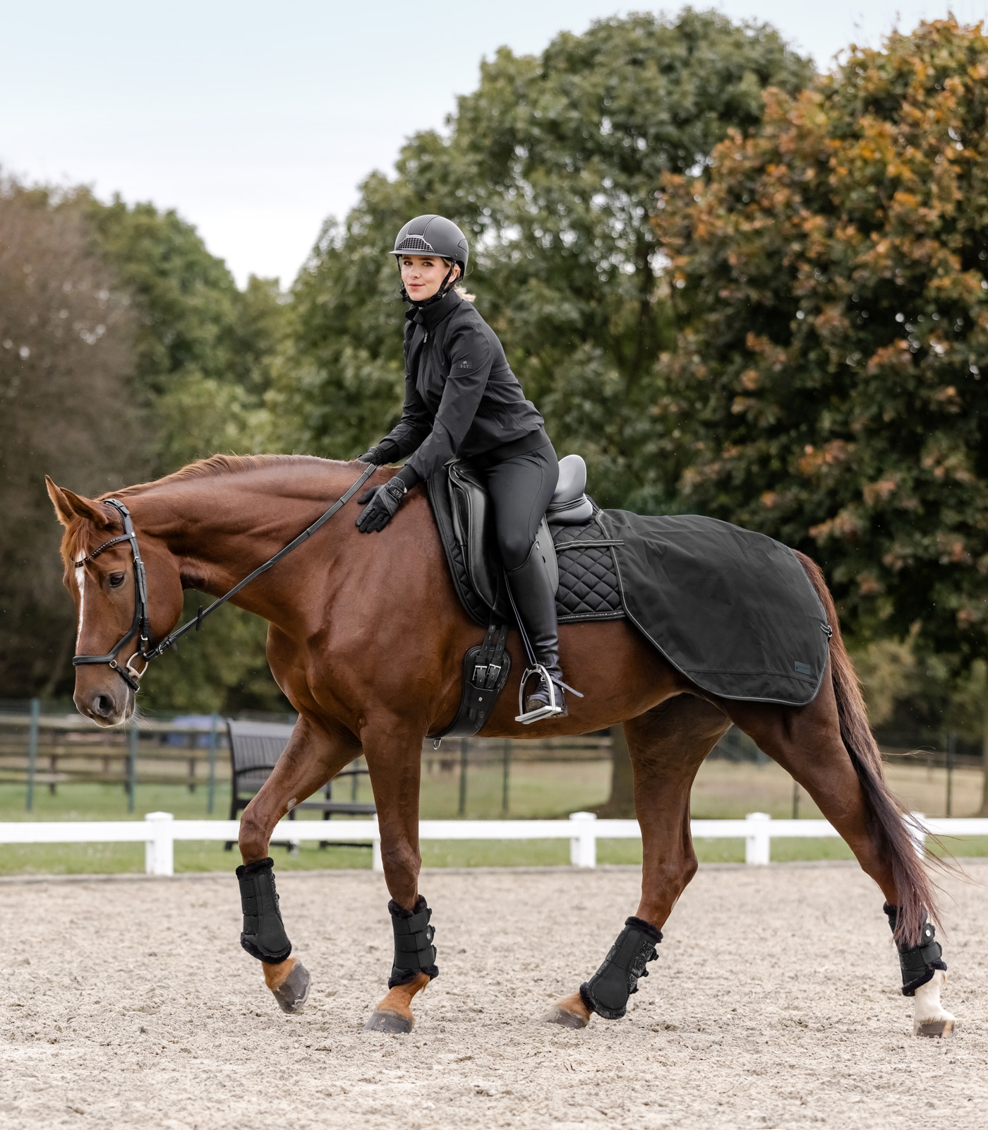 Regen-Nierendecke Salzburg