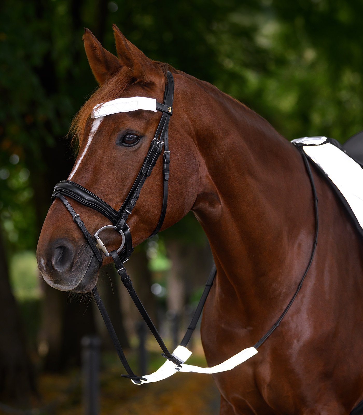 REFLEX  Trensenzaum-Set silbergrau