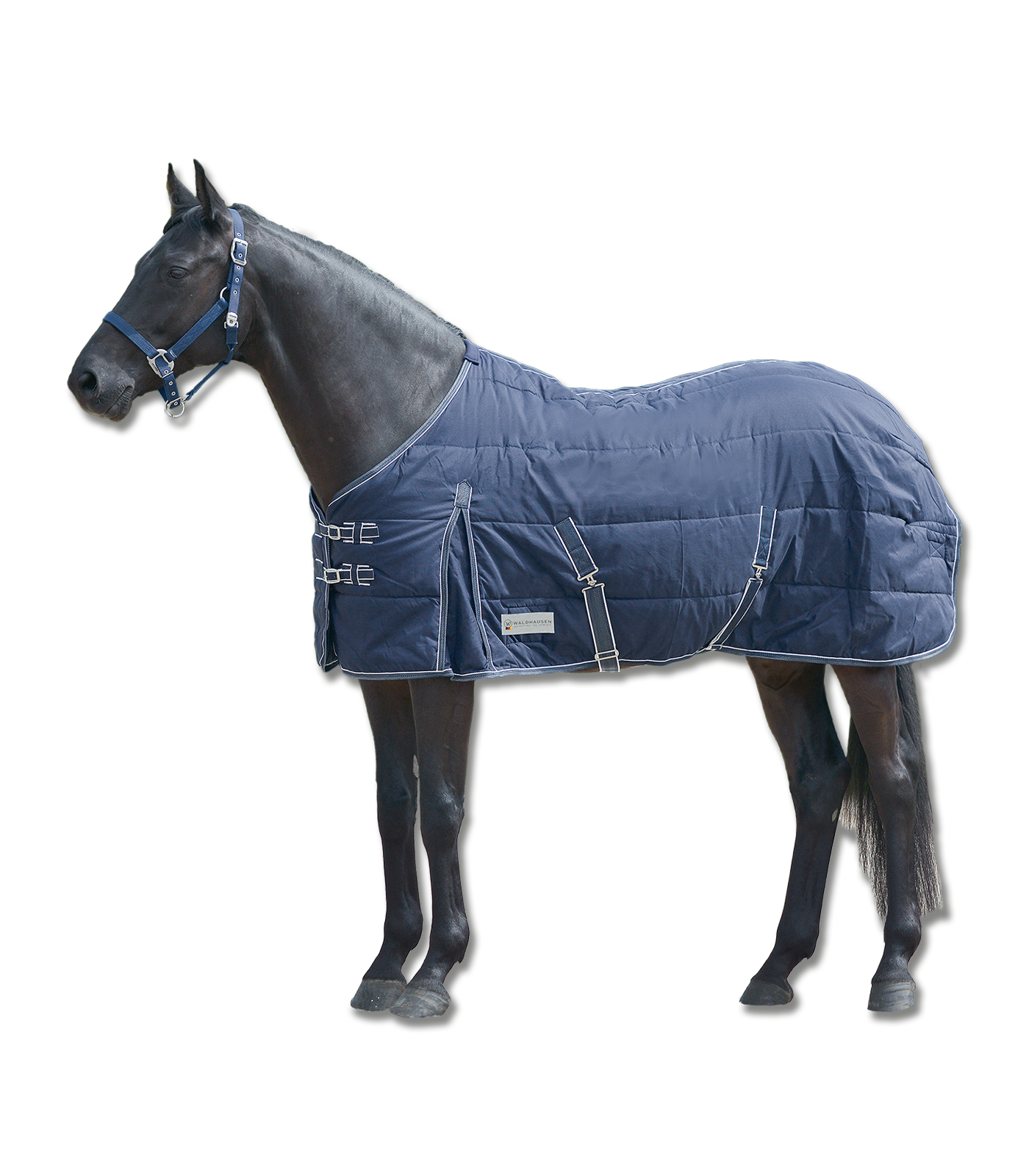 Coperta da stalla ECONOMIC, 200 g blu notte