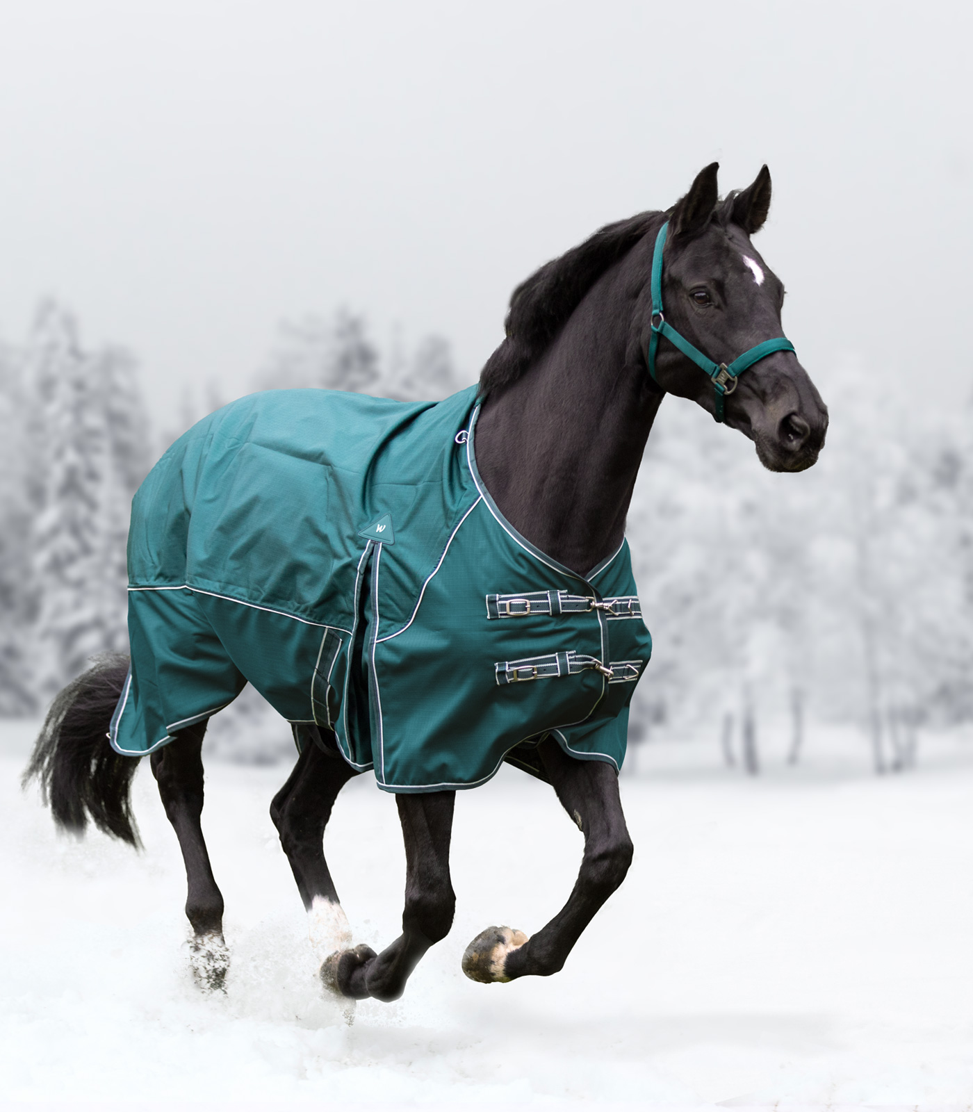 COMFORT Turnout Rug, 50 g fir green