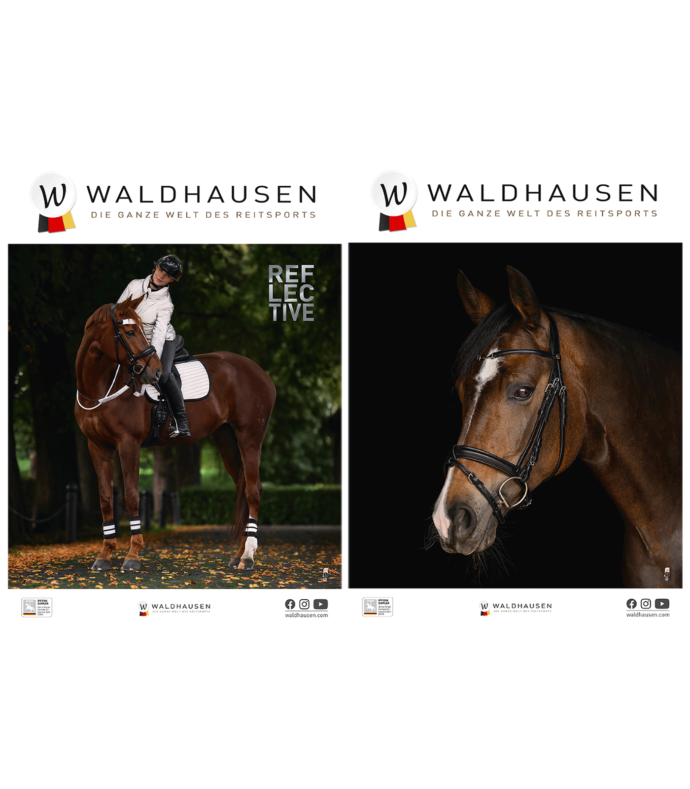 Waldhausen Poster Reflective & Trense