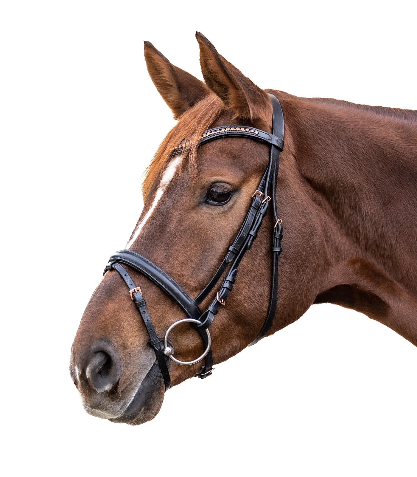 STAR Rosemary Bridle