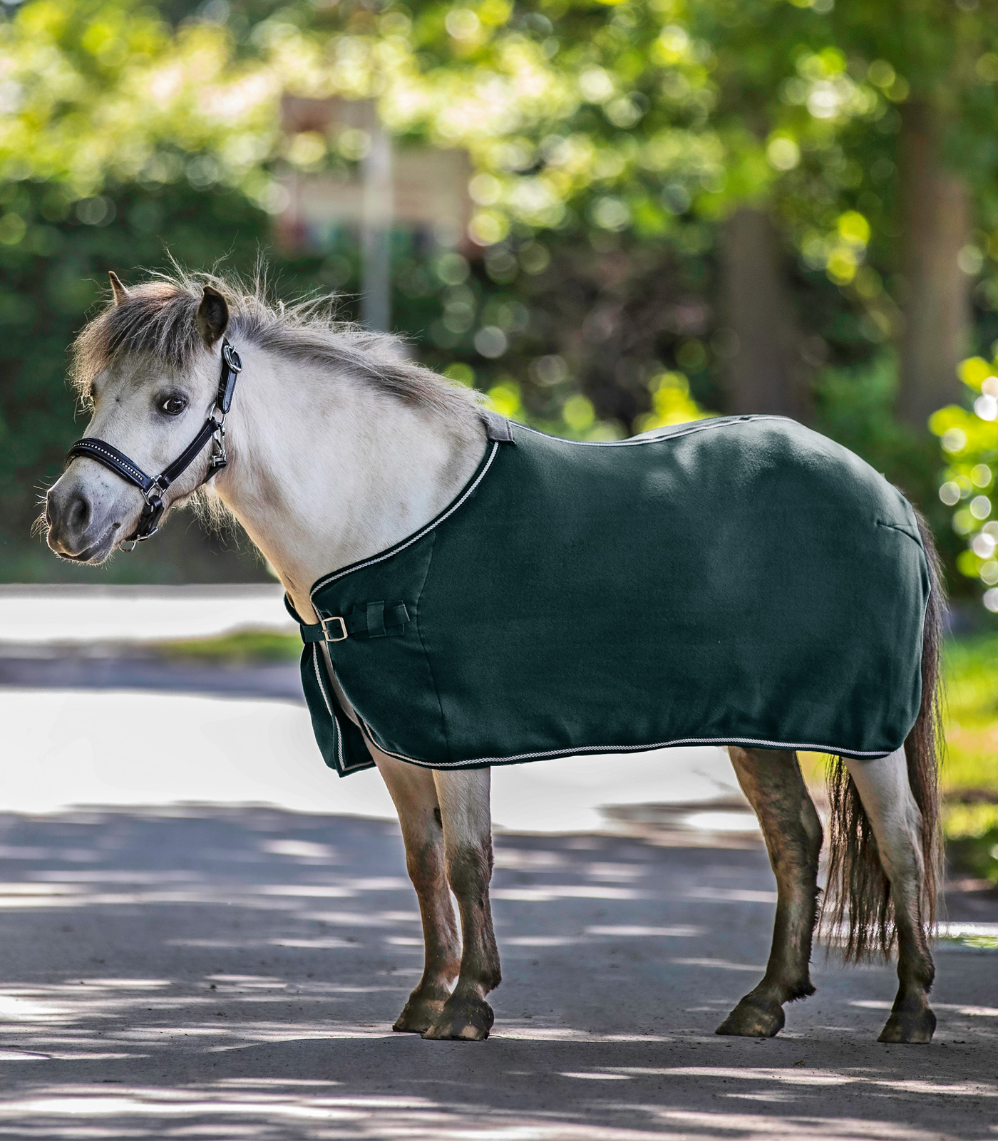 ECONOMIC Fleece Rug