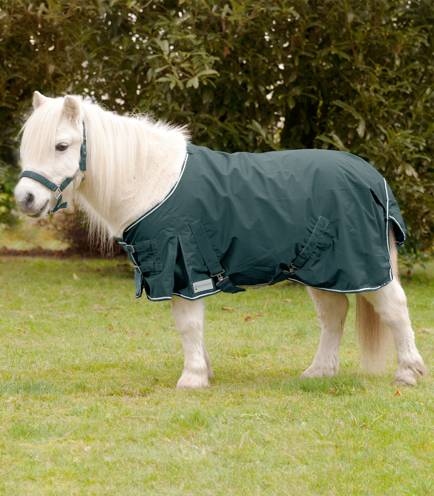 Manta para lluvia Shetty Light verde abeto