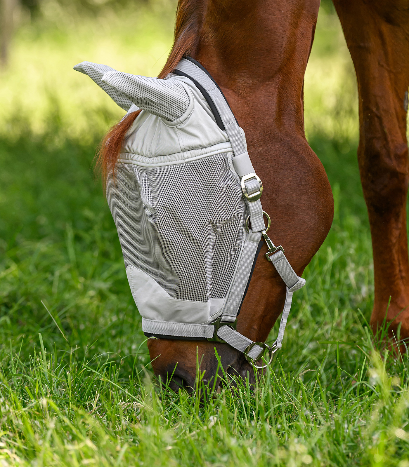 PREMIUM Fly mask with Halter