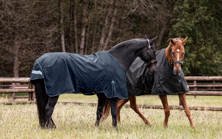 Which rug is best for your horse - helpfull tips