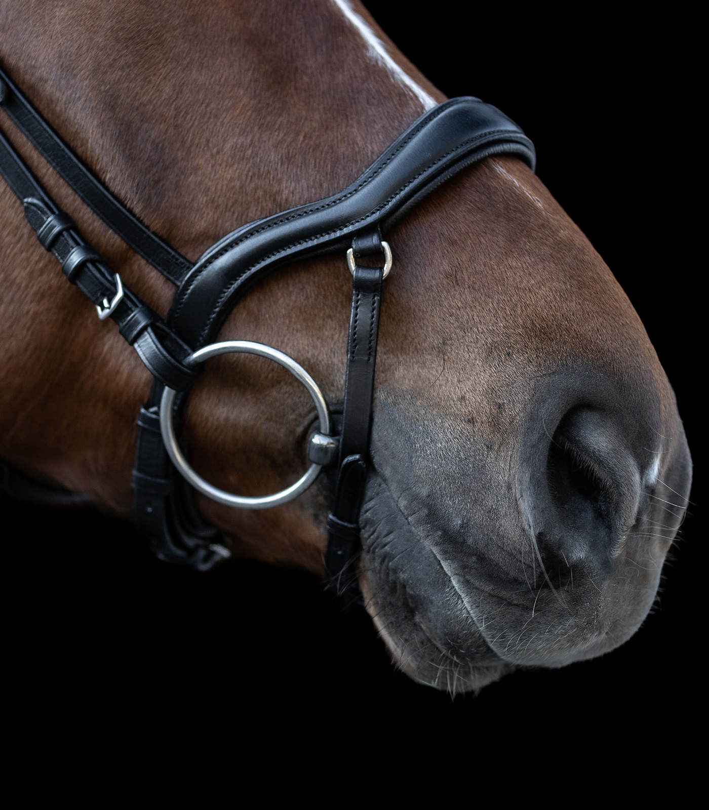 Waldhausen X-Line Bridle New Shape II