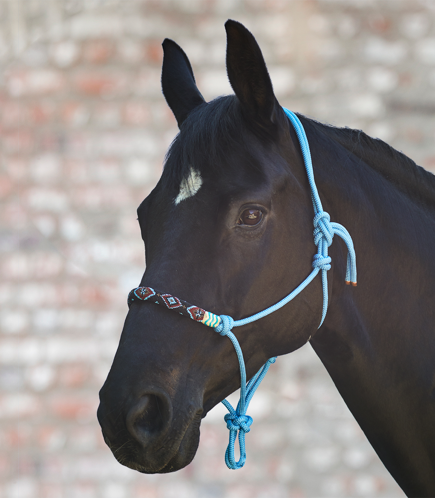 Pearls Knotted Halter