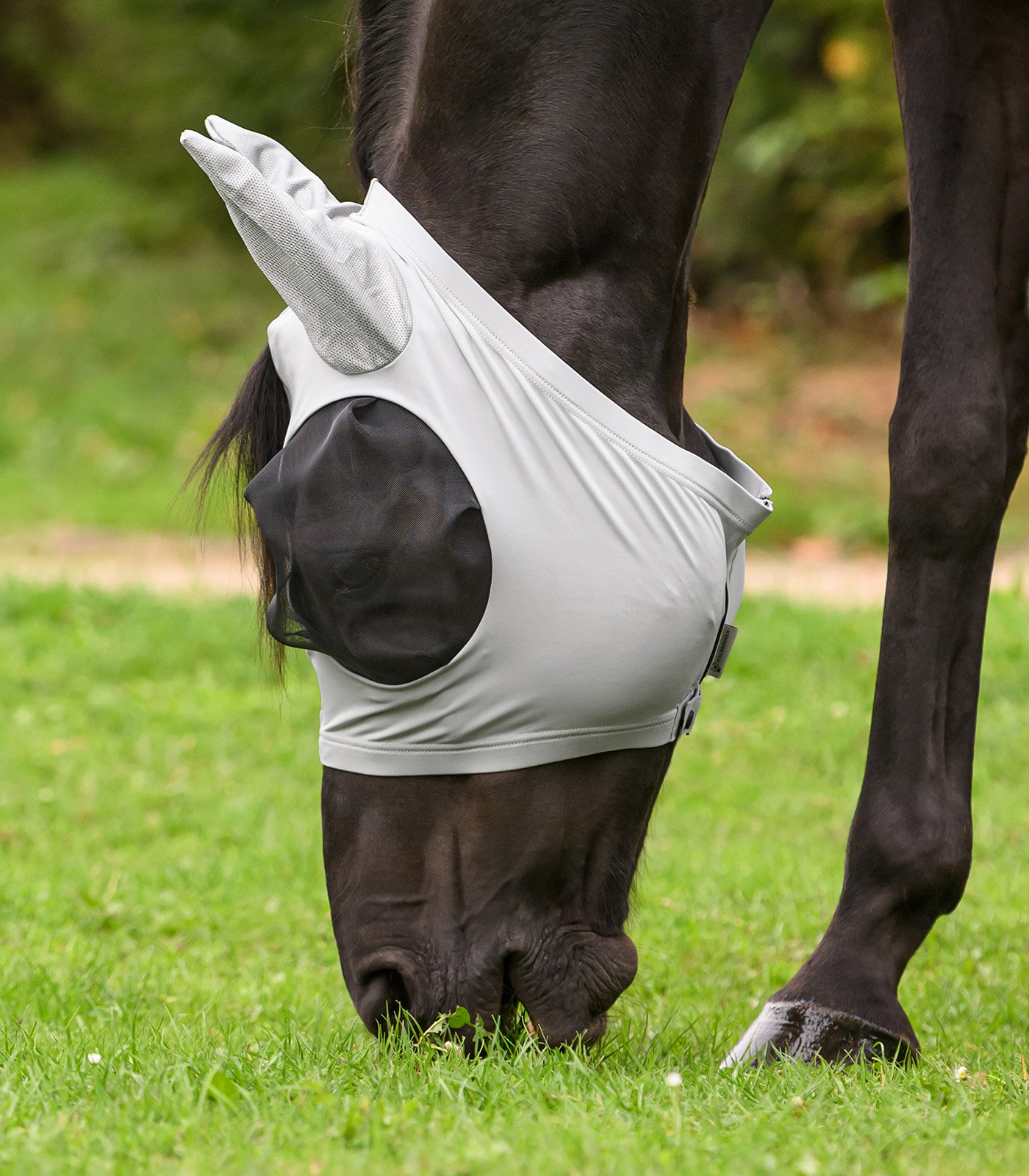 Fliegenmaske Puck Fliegenmaske Puck