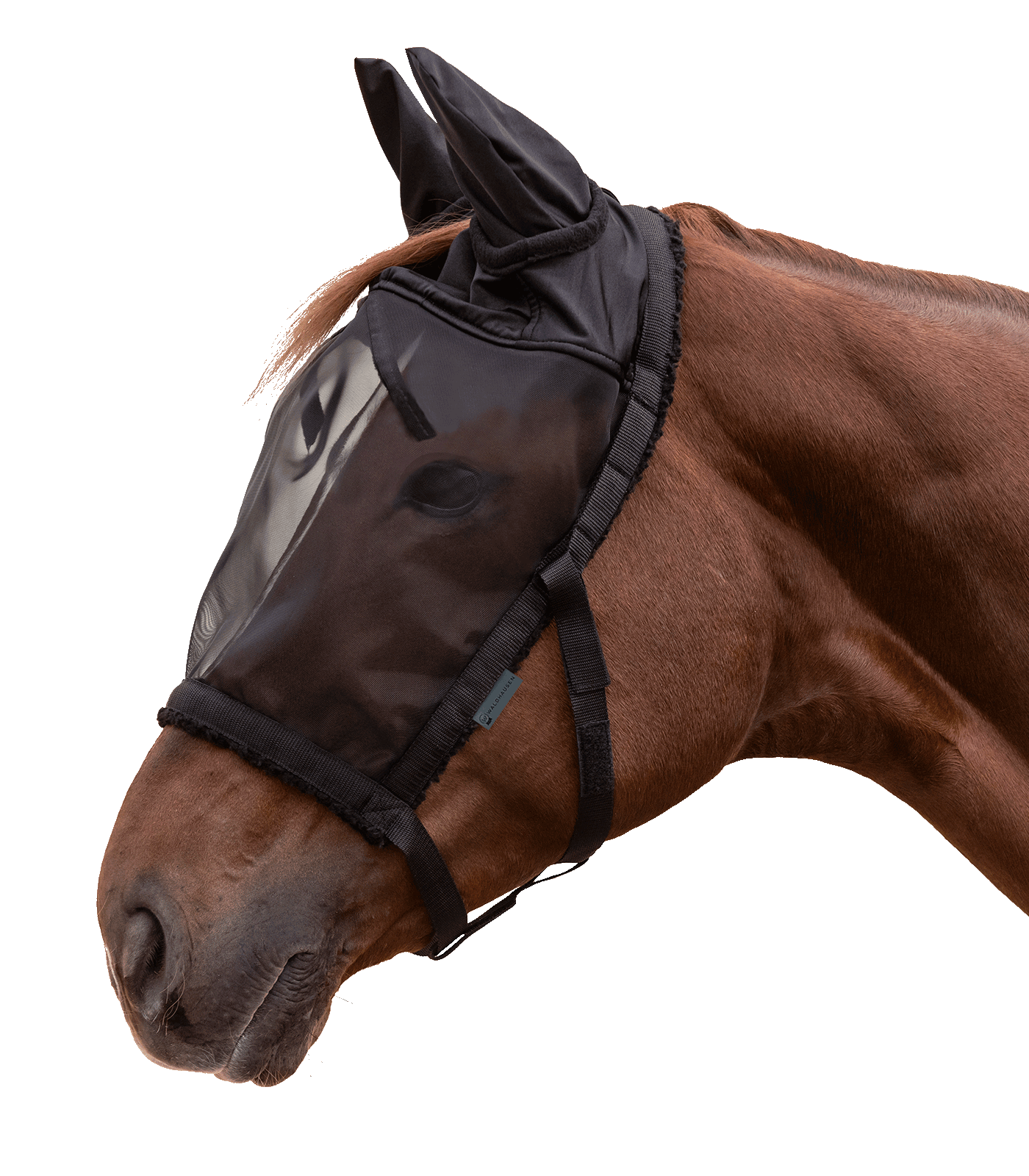 Weidehalfter mit Fliegenmaske schwarz
