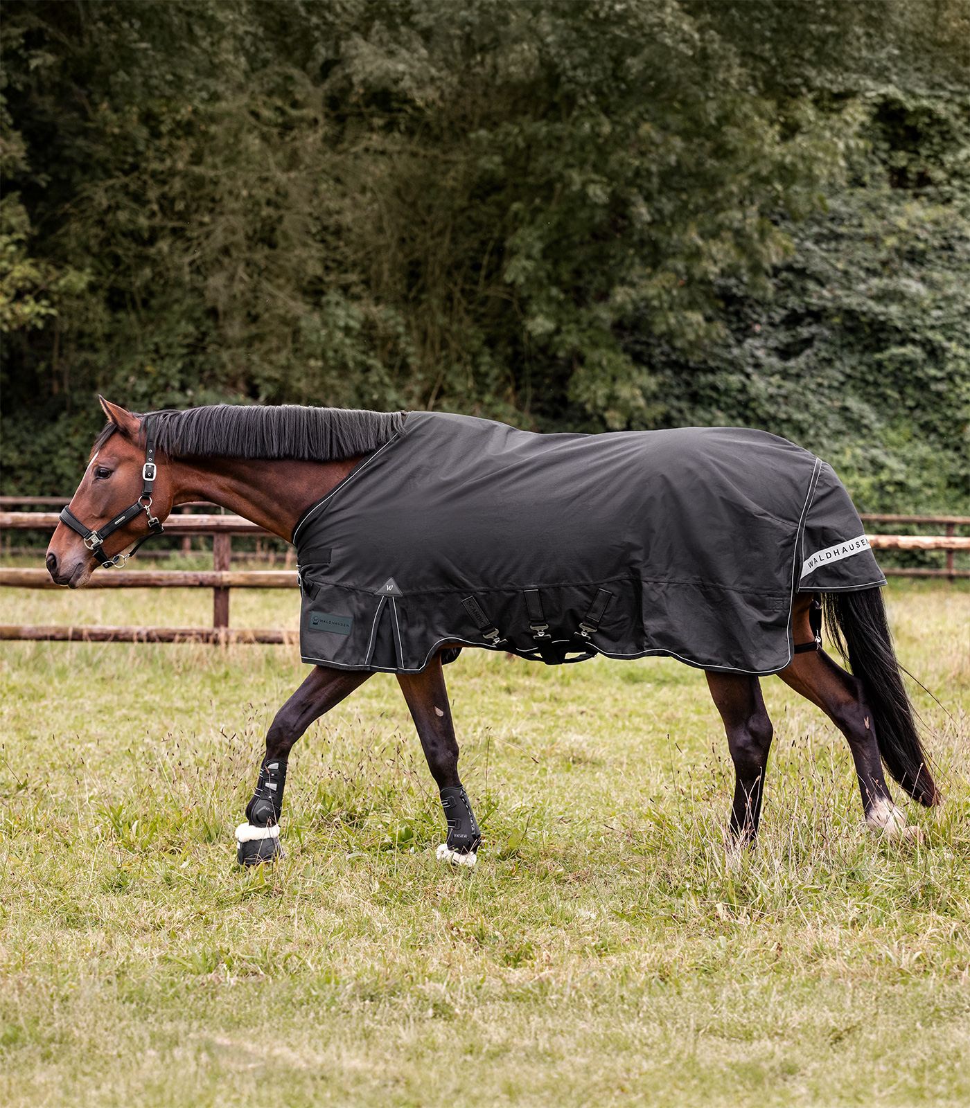 SCANDIC Multi-Layer Outdoordecke, 150 g / 50 g