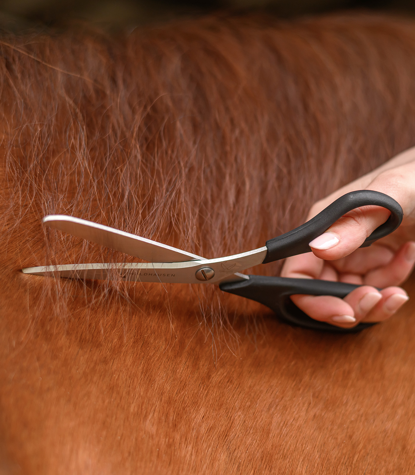 "Easy Cut" Mane and Tail Scissors
