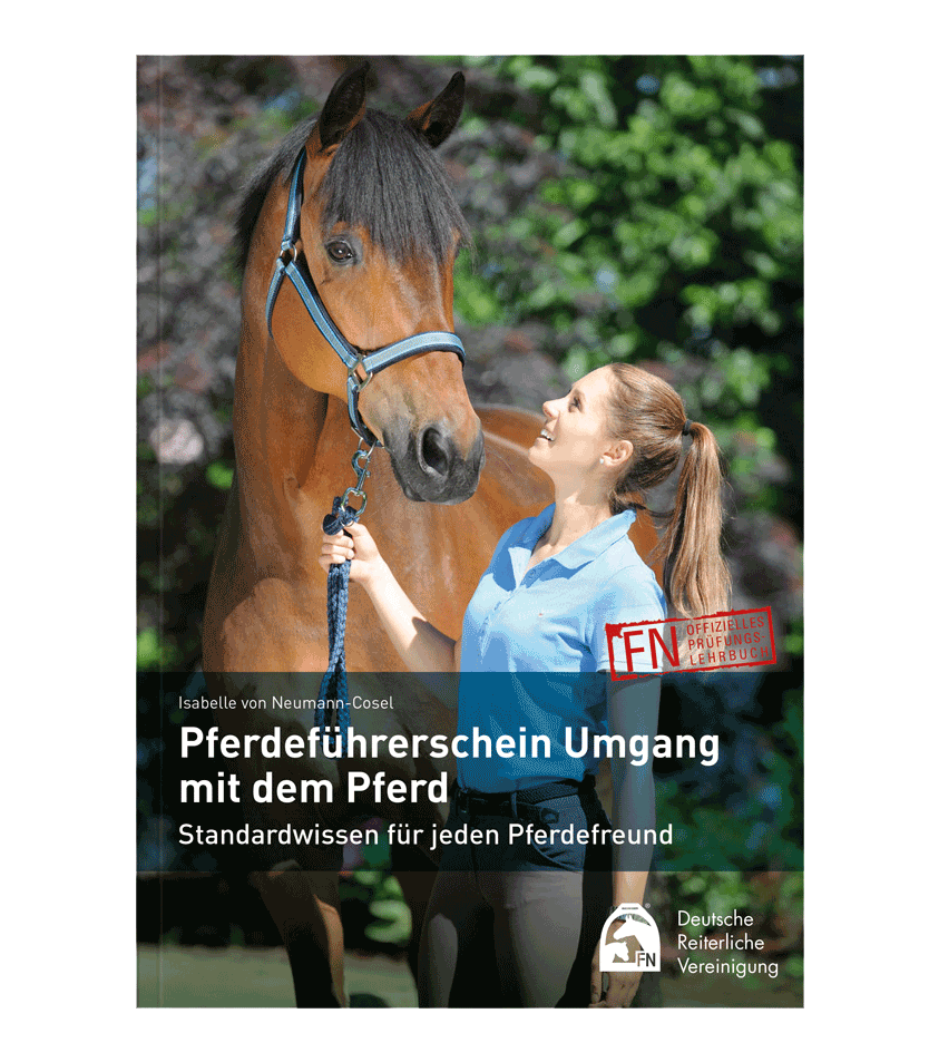 Pferdeführerschein Umgang mit dem Pferd