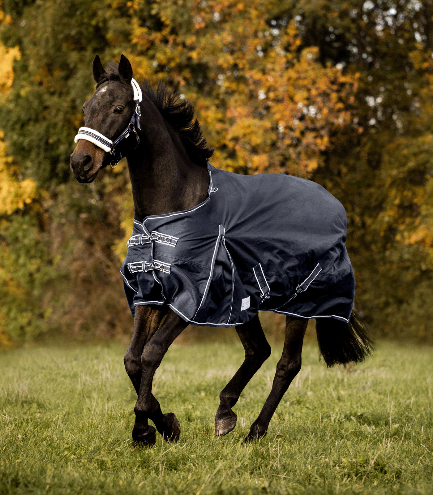 COMFORT Turnout Rug, lightweight