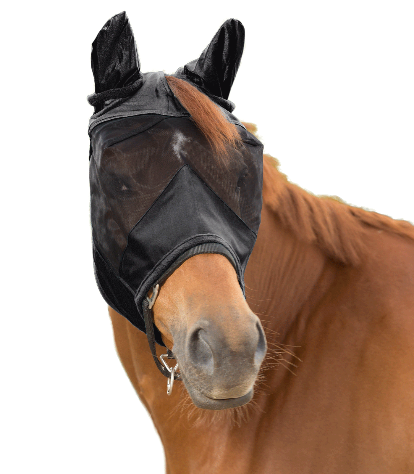 PREMIUM 3-in-1 Fly Mask