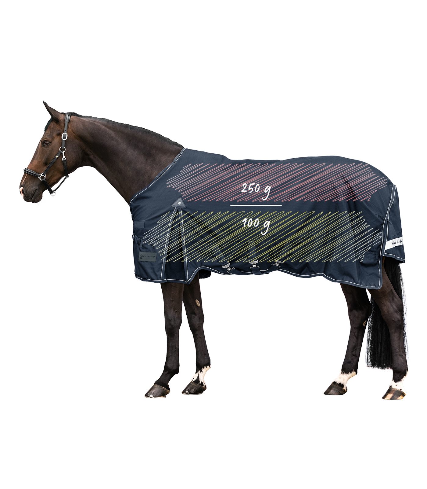 SCANDIC Multi-Layer turnout rug, 250 g / 100 g night blue