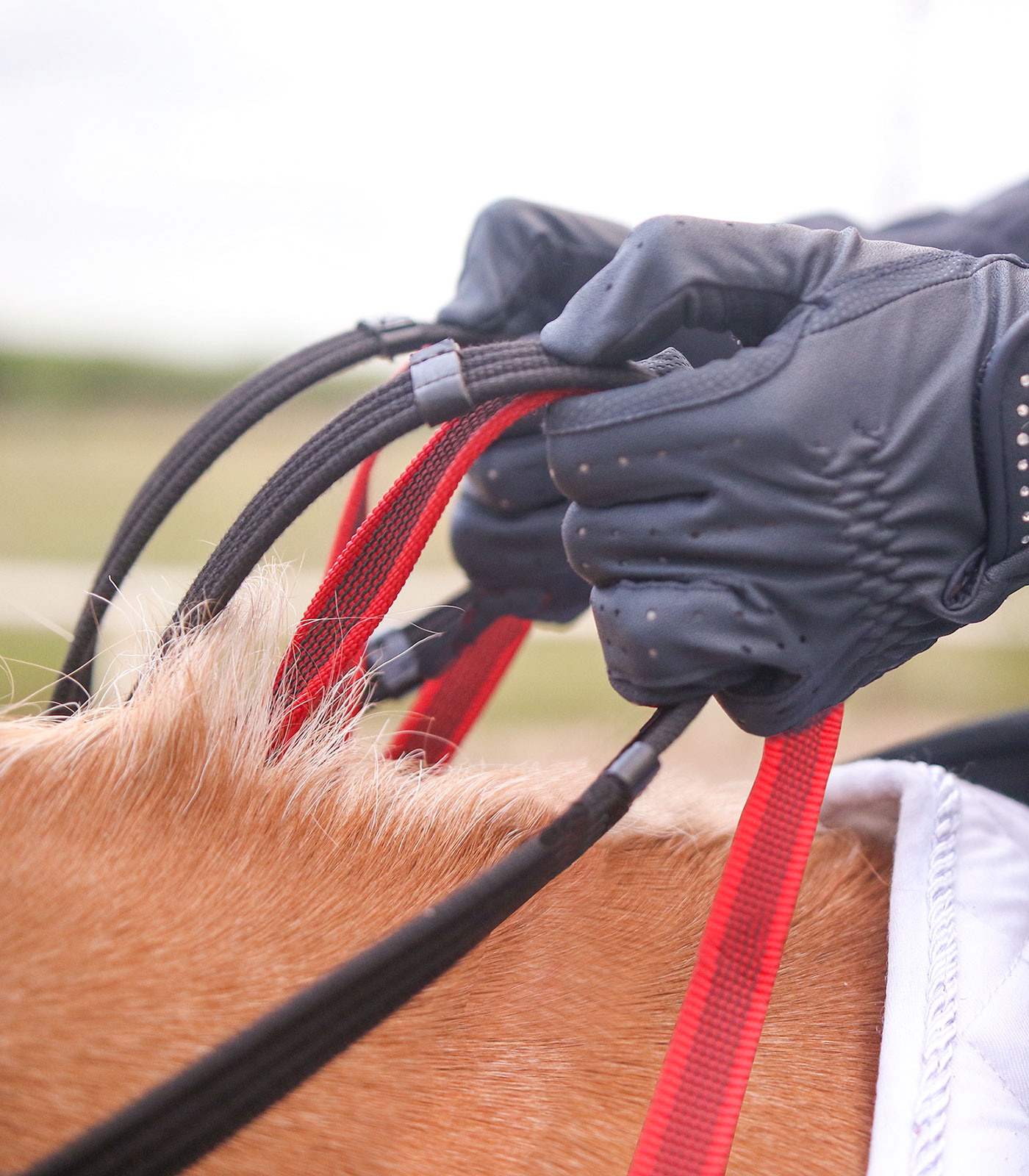 Waldhausen Secutrust breastplate with safety reins