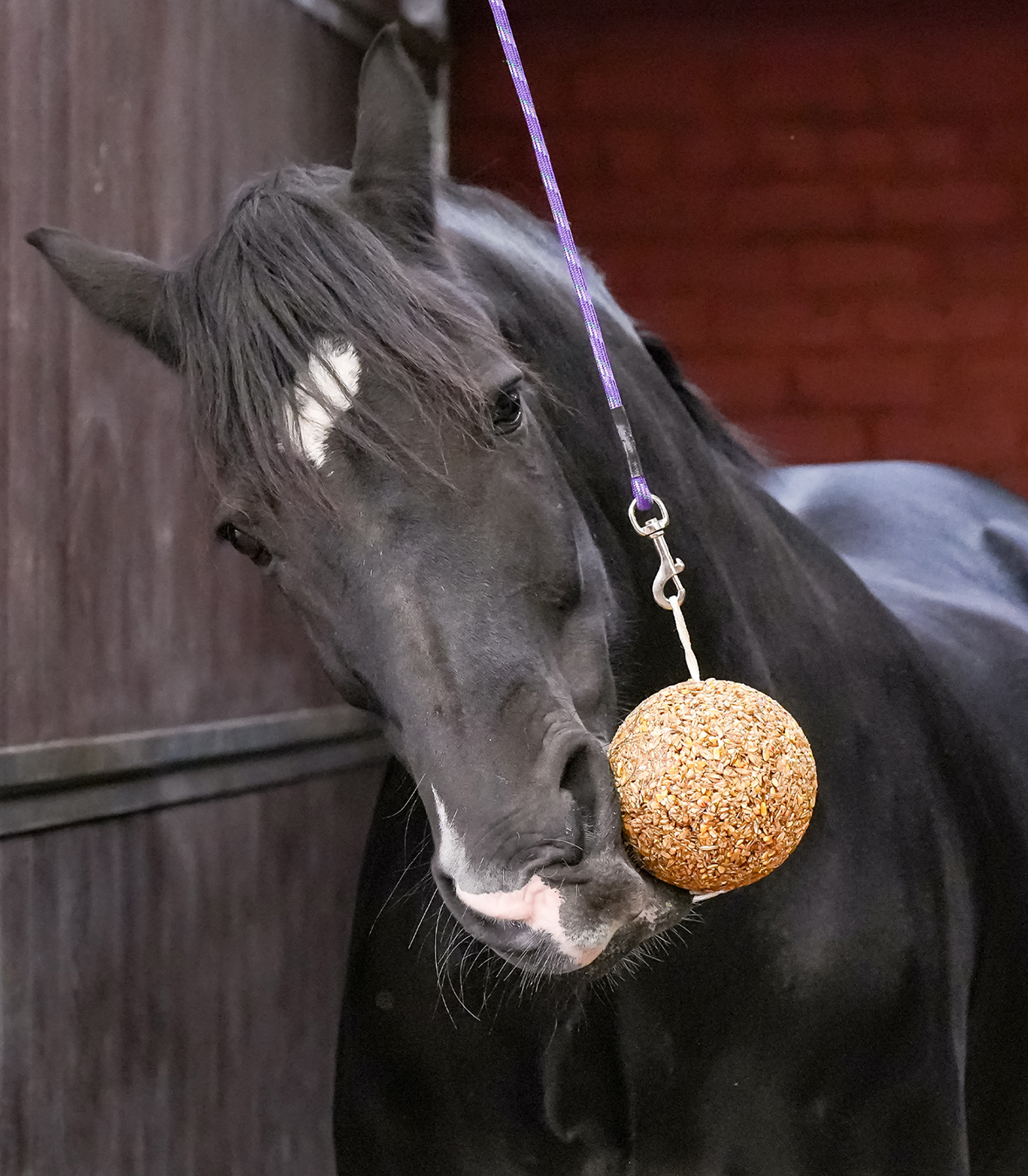 Likit Granola Stall Ball, 1.6 kg