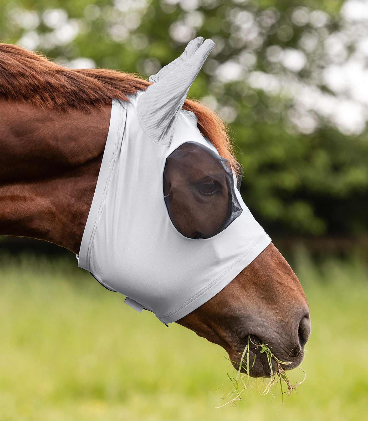 Fliegenmaske Puck Fliegenmaske Puck