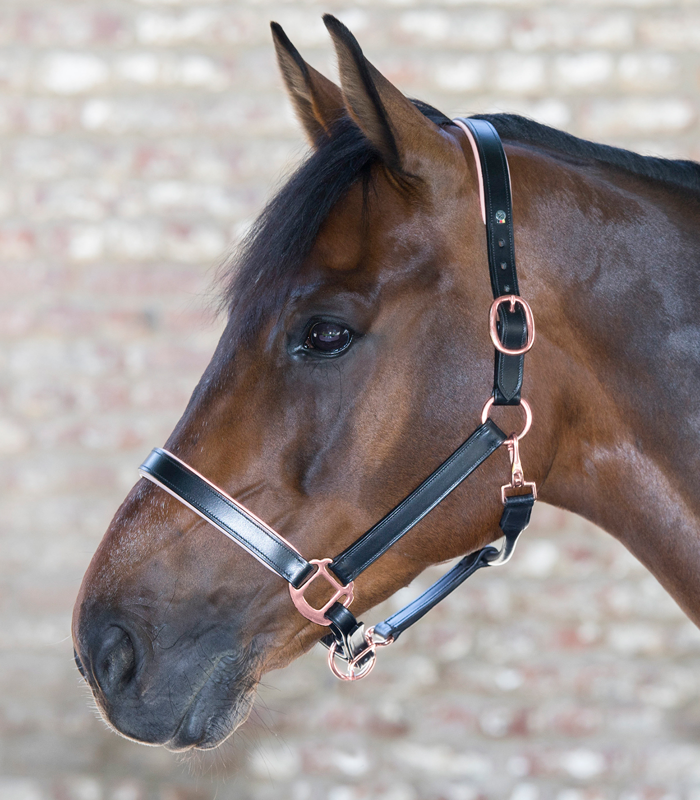 Waldhausen X-Line Leather Halter Rosé