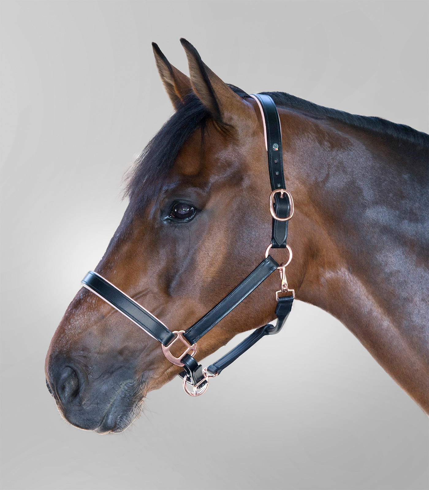 Cabezada de cuero Waldhausen X-Line Rosé