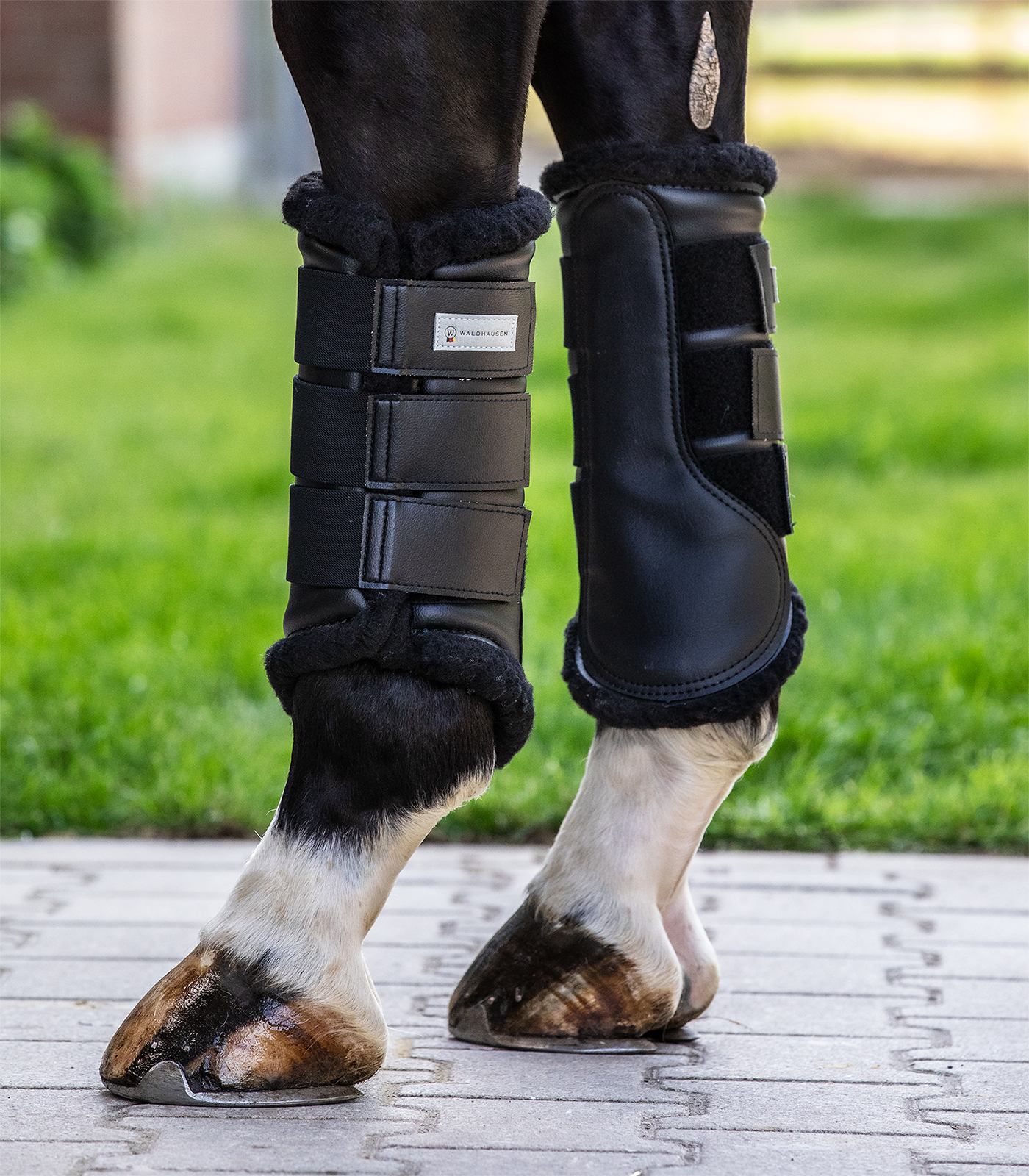 Soft Dressage Boots