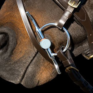 Image alternate text