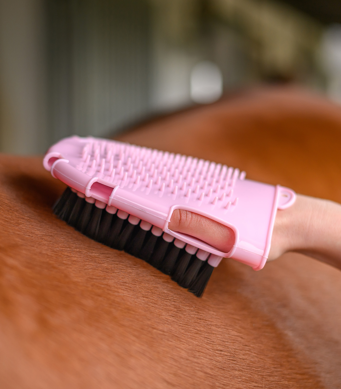 Grooming- and Washing Glove